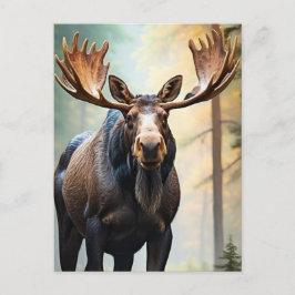 *~* Nature AP49 MOOSE Wald Wald Kletterberg Postkarte