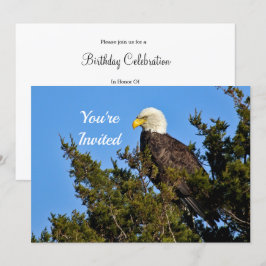 Nature Bald Eagle Wildlife Foto Geburtstag Einladung
