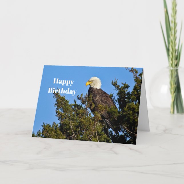 Nature Bald Eagle Wildlife Foto Geburtstag Karte (Vorderseite)