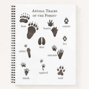 Nature Carnet d'images animaux de la forêt