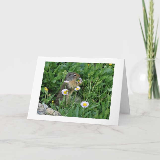 Nature Climate Note Card Dankeskarte (Vorderseite)