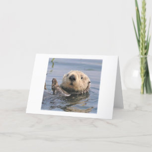 Nature Climate Note Card Dankeskarte