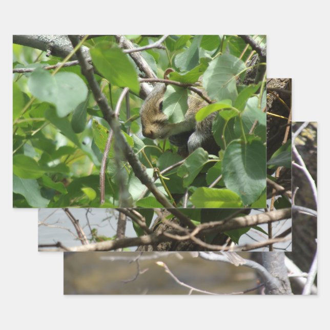 Nature Critters Wrapping Paper Sheets Geschenkpapier Set (Set)