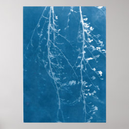 Nature Cyanotype in Blue Print & Digital Download Poster