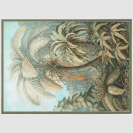 Nature Fern Ernst Haeckel Dekoupage Tissue Paper Seidenpapier