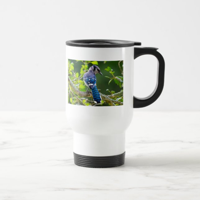 Nature Fotografy Shy Blue Jay Apparel Geschenke Reisebecher (Rechts)
