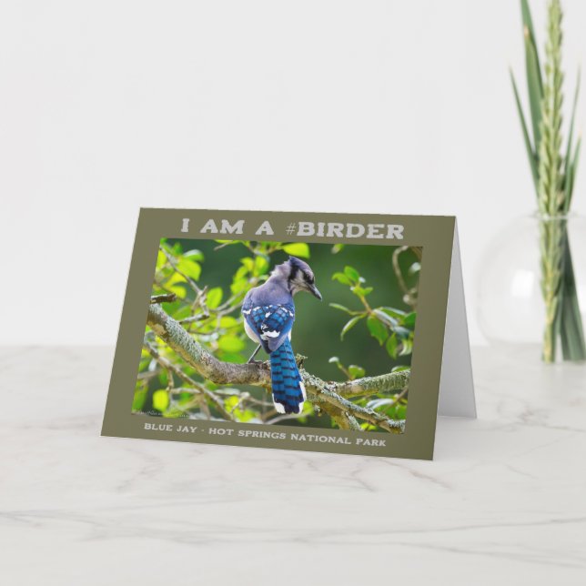 Nature Fotografy Shy Blue Jay Vogelbeobachter Karte (Vorderseite)