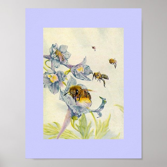Nature Honey Bees and Morning Glory Blume Lilac Poster (Vorne)