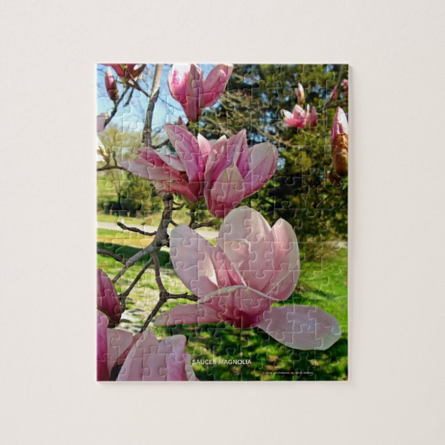 Nature Inspiriert Pink Saucer Magnolia Bloom (Vertikal)