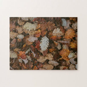 Nature Jigsaw Puzzle Automne Jigsaw Puzzle Puzzle