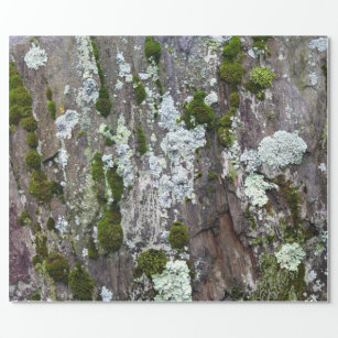 Nature Moss Lichen Camouflage Foto Geschenkpapier
