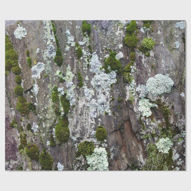 Nature Moss Lichen Camouflage Foto Geschenkpapier (Flach)