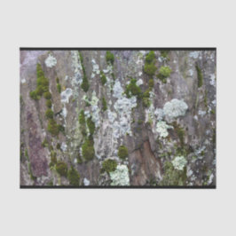 Nature Moss Lichen Camouflage Foto Seidenpapier