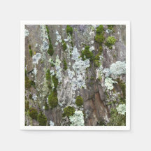 Nature Moss Lichen Camouflage Foto