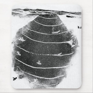 Nature Oddities Mousepad