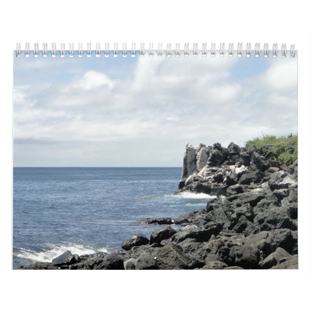 nature of the Galapagos Kalender (Titelbild)
