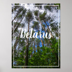 Nature Paysage Chercher Forêt Biélorussie Poster