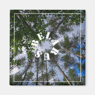 Nature Paysage Paysage Forêt Biélorussie Magnet