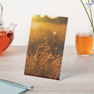 Nature Pedestal Sign Sockelschild