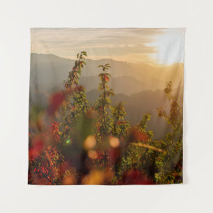 NATURE PHOTOGRAPHY OF GREEN TREES OVERLOOKING MOUN WANDTEPPICH