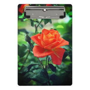 Nature Pink Rose Blume-46458 Mini Klemmbrett