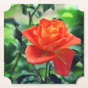 Nature Pink Rose Blume-46458 Untersetzer