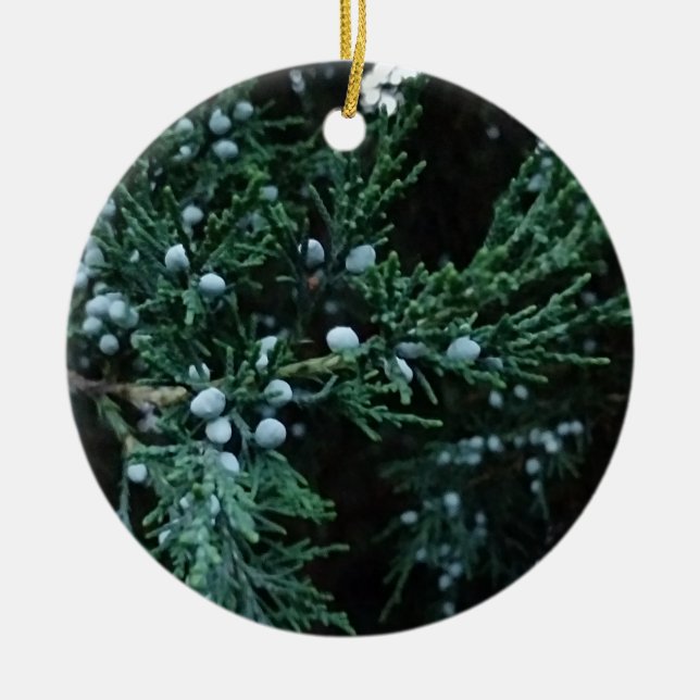 Nature Ripening Juniper Berries Keramik Ornament (Vorne)