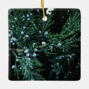 Nature Ripening Juniper Berries Keramikornament