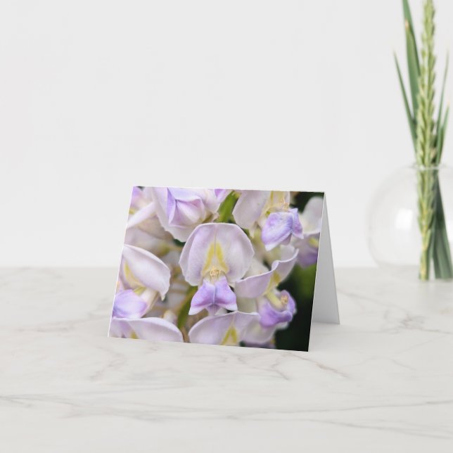 Nature’s Touch - Voeux et Carte de remerciements b (Devant)