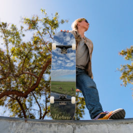 Nature sky skateboard