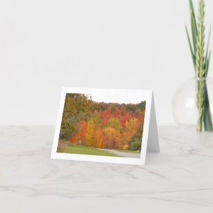 "NATURE SPILLS IHR PAINT BUCKET" MICHIGAN LOCALE KARTE