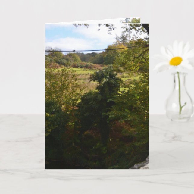 nature way of impersonating animals karte (Kleine Pflanze)