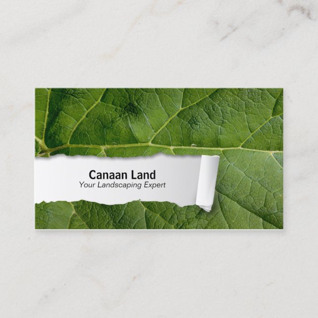 Natureanpassbarer Leaf Closeup-Visitenkarte Visitenkarte (Vorderseite)