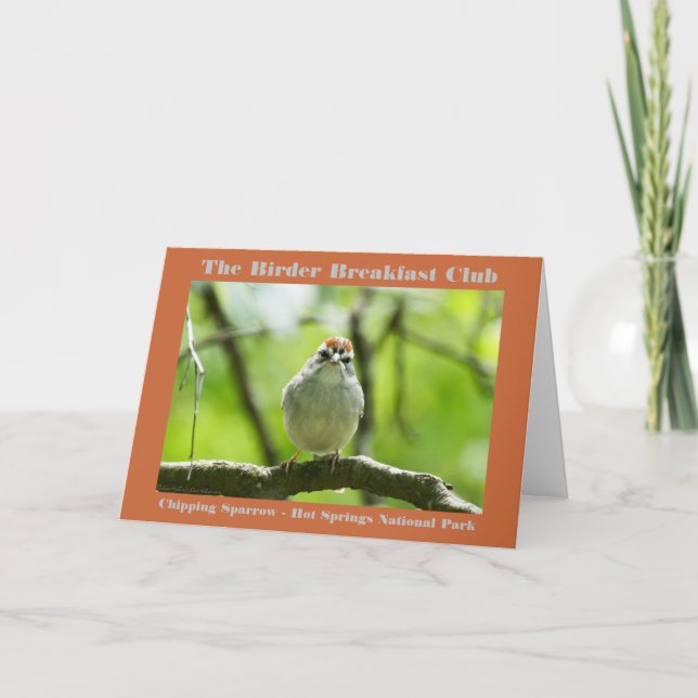 Naturefotografie Chipping Sparrow Vogelbeobachter Karte (Vorderseite)