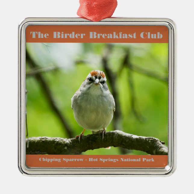 Naturefotografie Chipping Sparrow Vogelbeobachter Ornament Aus Metall (Vorne)