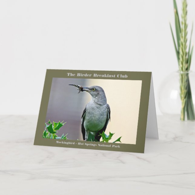 Naturefotografie Mockingbird Vogelbeobachter T - S Karte (Vorderseite)
