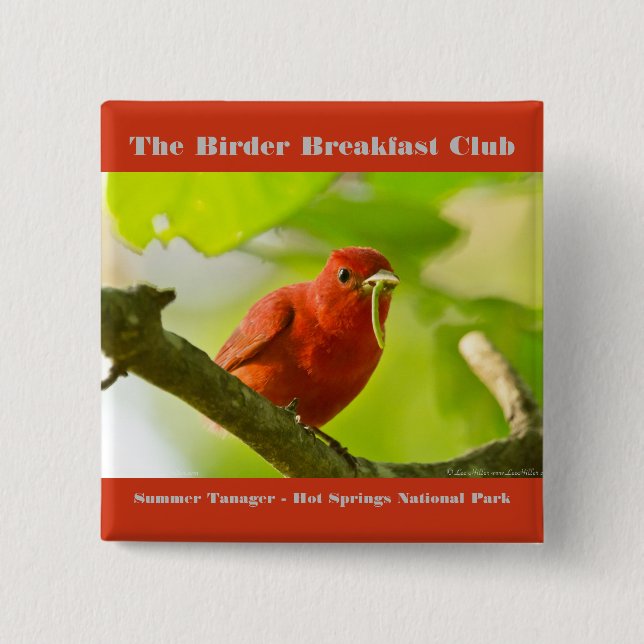 Naturefotografie Summer Tanager Vogelbeobachter Button (Vorderseite)