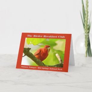 Naturefotografie Summer Tanager Vogelbeobachter Karte