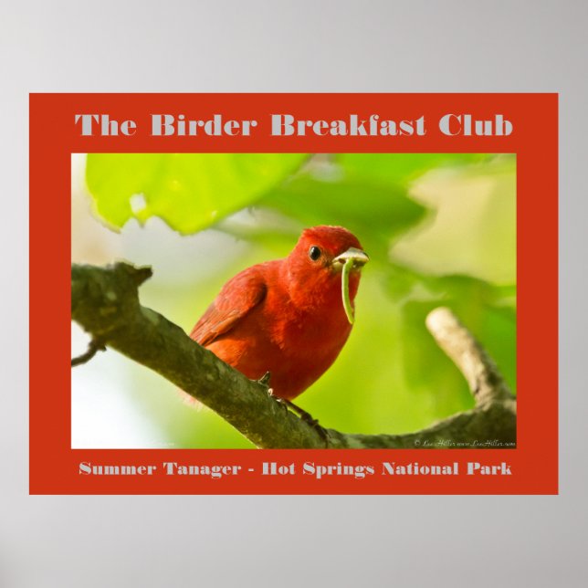 Naturefotografie Summer Tanager Vogelbeobachter Poster (Vorne)
