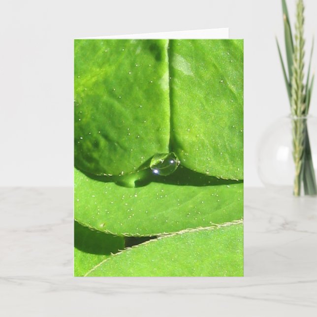 Naturegoddess Clover mit Dew Karte (Vorderseite)