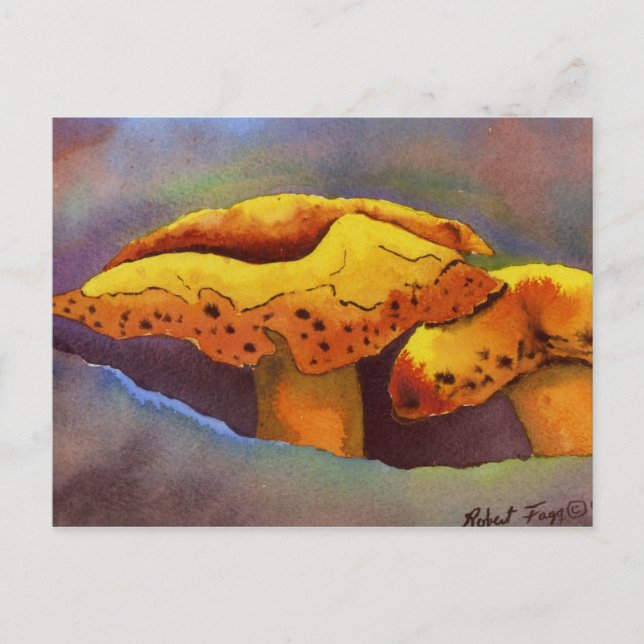 Natureinrichtungen Postkarte (Vorderseite)