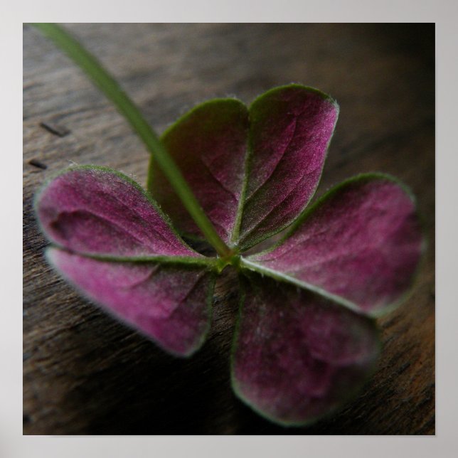 'naturelovesyou' Canvas Print Poster (Vorne)