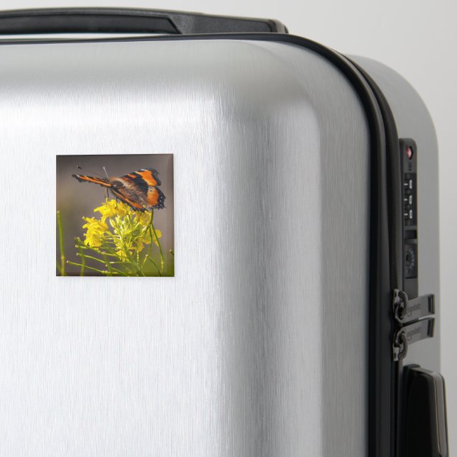 Natures Beauty Milberts Tortoiseshell Butterfly Magnet (In Situ (Gepäck))