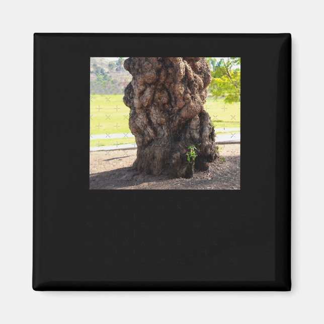 Nature's Bumpy Tree Sticker Magnet (Vorne)