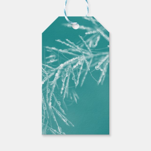 Natures Christmas Decorations Geschenkanhänger (Vorderseite)