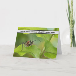 "Nature's Delicate Balance - Insekt auf Leaf" Dankeskarte