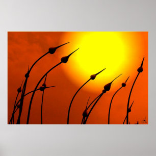 Nature's Design Poster