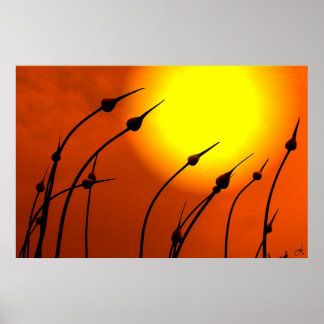 Nature's Design Poster