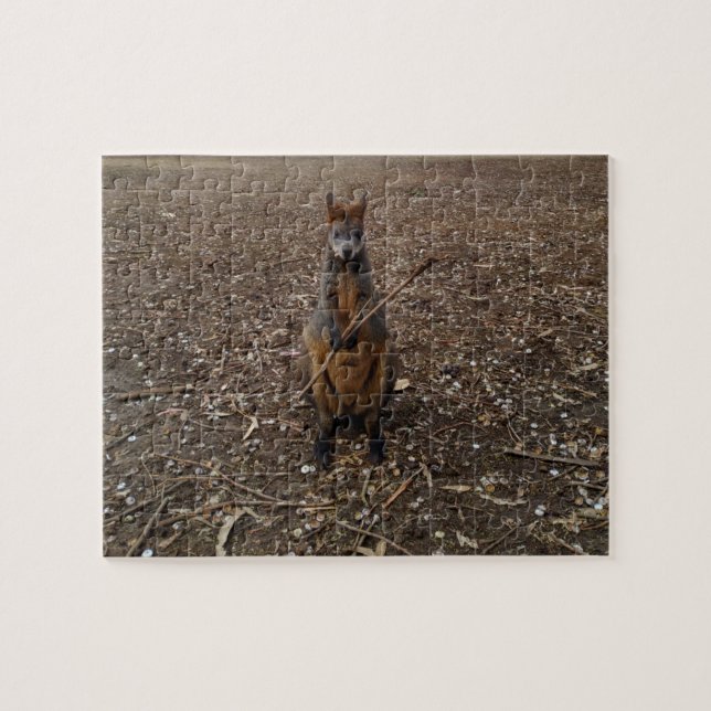 "Nature's Fast: A Wallaby's Snack Break" (Horizontal)