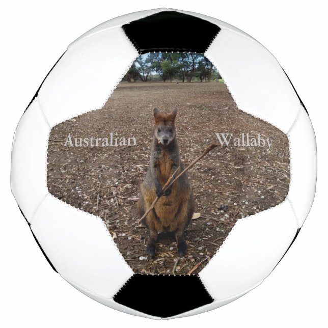 "Nature's Fast: A Wallaby's Snack Break" Fußball (Vorderseite)